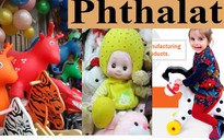 Ngăn chặn chất độc Phthalate trong đồ chơi trẻ em