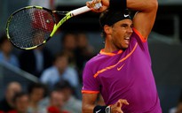 Hạ Goffin, Nadal hẹn Djokovic ở bán kết Madrid Open