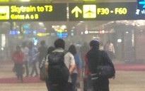 Sân bay Singapore hỗn loạn vì cháy