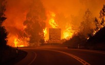 Cháy rừng bí ẩn, hàng chục người chết trong ô tô