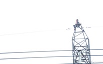 Một thanh niên leo lên trụ cao thế khiến Bình Dương - Tây Ninh cúp điện