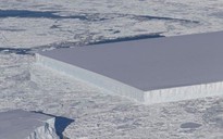 Tảng băng hình chữ nhật ở Nam Cực làm NASA sửng sốt