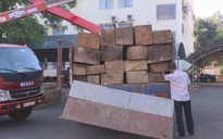 Giám đốc Công an tỉnh Đắk Lắk bắt gỗ lậu trong đêm
