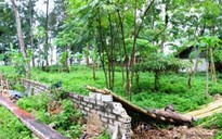Hàng loạt cán bộ TP Sầm Sơn bị kỷ luật do sai phạm quản lý đất đai
