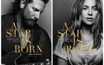 "A star is born" không đủ điều kiện tranh giải Grammy 2019