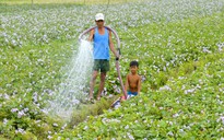 Hợp tác Mekong, dè chừng "ông lớn"