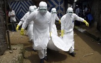 Ebola lại bùng phát, WHO và Congo gấp rút đối phó