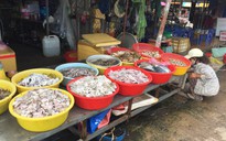 Bạc Liêu: Bí thư phường bị tố mua hải sản của dân rồi “quên”… trả tiền