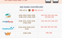 (Infographic) - Chuyển sang 10 số, thuê bao di động 11 số sẽ thay đổi ra sao?