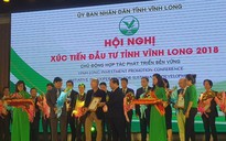 Đừng biến hội nghị xúc tiến đầu tư thành lễ hội