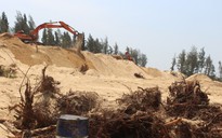 Phú Yên: Hàng loạt cơ quan bị kiểm điểm liên quan các dự án phá rừng
