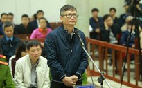 Trịnh Xuân Thanh, Đinh Mạnh Thắng hầu tòa phúc thẩm