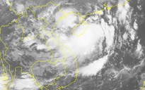 Áp thấp nhiệt đới đã mạnh thành bão số 2, giật cấp 10