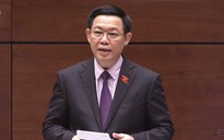 Phó Thủ tướng Vương Đình Huệ trả lời chất vấn về Đặc khu