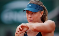 Sharapova: Roland Garros tạo đà hứng khởi để giành danh hiệu Wimbledon