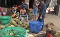Thực hư về “sầu riêng ăn trả hạt" giá 15.000 đồng/kg