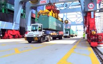 119 kg cocain 800 tỉ đồng lọt vào container của Công ty Thép Pomina 2 cách nào?