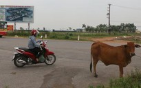 Hà Nội sau 10 năm mở rộng (*): Còn đó những nỗi lo