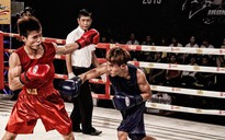 VINA BOXING CUP 2018: Sôi động quyền anh Việt - Hàn