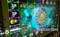 Làm rõ máy casino có dán tem kiểm định của Sở VH-TT-DL Bạc Liêu