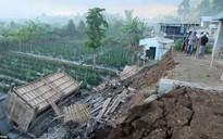 Động đất Indonesia: Du khách ùn ùn tháo chạy khỏi đảo thiên đường