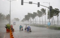 Bão Mangkhut quá khủng khiếp