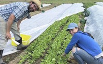 Lớp học nông nghiệp hữu cơ ngày càng "hot" ở Mỹ