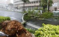 Chưa hồi phục sau bão Jebi, Nhật Bản lại hứng bão Trami