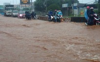 Miền Nam: Lúa ngập nước, giao thông tê liệt nhiều nơi