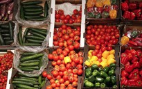 Ăn thực phẩm organic để ngừa ung thư?