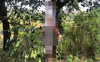Phát hiện người cha nghi sát hại 2 con ở Vũng Tàu treo cổ tự tử tại Đắk Nông?
