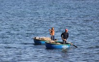 Quảng Nam: Lật thuyền thúng, một ngư dân mất tích