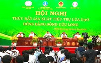 Tìm giải pháp "giải cứu" lúa gạo cho ĐBSCL