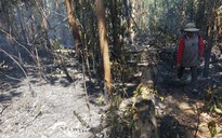 200 người đang chữa cháy rừng ở Gia Lai