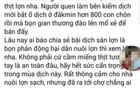 Bị phạt 10 triệu đồng vì bịa đặt thông tin đào 800 con heo bệnh lên bán