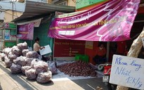 Lập chiến dịch "giải cứu" khoai lang giúp nông dân Gia Lai
