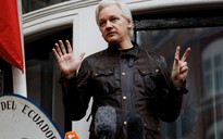 Nhà sáng lập Wikileaks la hét khi bị khiêng ra khỏi Đại sứ quán Ecuador