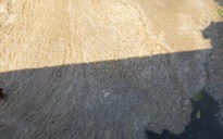 Nước thải tràn ra sông Hàn: Sở TN-MT Đà Nẵng truy tìm nguyên nhân