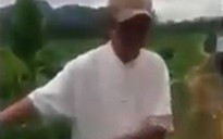Tạm giữ hình sự ông già 79 tuổi đưa bé gái 8 tuổi ra cánh đồng "giở trò đồi bại"