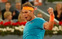 Roland Garros 2019: Sẽ có chung kết sớm Nadal - Federer?