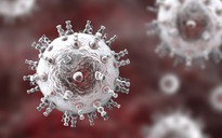 2 virus bệnh tình dục "giao phối", đe dọa sinh ra siêu bệnh mới