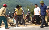 Đàn heo 108 con bị "dính" dịch tả heo châu Phi đầu tiên ở Quảng Bình