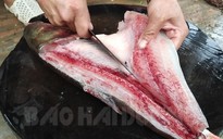 "Chết thèm" với tuyệt chiêu làm gỏi cá mè Cẩm Hoàng
