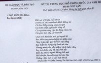 Thi THPT quốc gia 2019: Đề thi văn ra "Ai đã đặt tên cho dòng sông?"