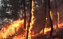 Người phụ nữ bị lửa thiêu khi chữa cháy rừng kinh hoàng ở Hà Tĩnh và Nghệ An