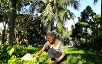 Ám ảnh cơn đau sau giời leo