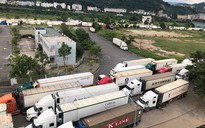 Trung Quốc siết thông quan, 500 xe container thanh long ùn ứ tại cửa khẩu Lào Cai