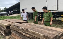 Phát hiện kho chứa gỗ "lậu" quý ở Trường Sơn