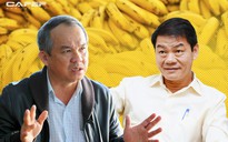 Tỉ phú Trần Bá Dương ứng cử HĐQT công ty nông nghiệp Hoàng Anh Gia Lai