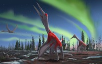 Phát hiện "Rồng Lạnh" – sinh vật lạ sải cánh 10 m tàn sát muôn loài